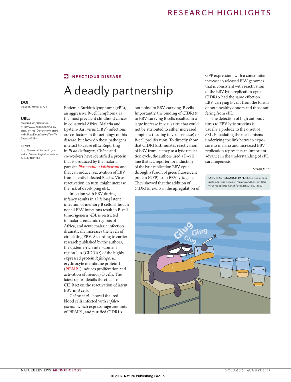 A Deadly Partnership of the EBV Lytic Replication Cycle