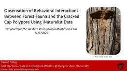 Observation of Behavioral Interactions Between Forest Fauna and The