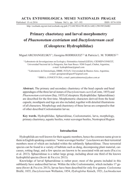 Primary Chaetotaxy and Larval Morphometry of Phaenonotum Exstriatum and Dactylosternum Cacti (Coleoptera: Hydrophilidae)