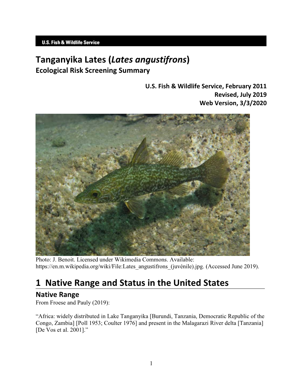 Tanganyika Lates (Lates Angustifrons) Ecological Risk Screening Summary