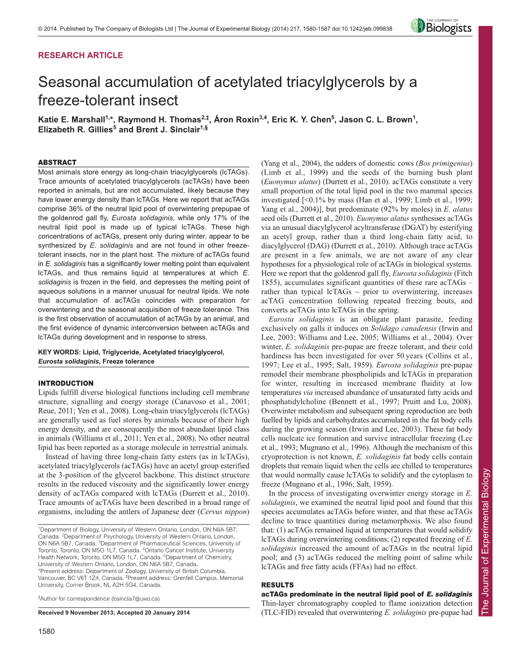 Seasonal Accumulation of Acetylated Triacylglycerols by a Freeze-Tolerant