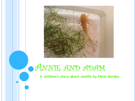 ANNIE and ADAM a Children’S Story About Axoltls by Nicki Gordon AXOLOTL