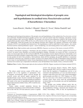 Topological and Histological Description of Preoptic Area and Hypothalamus in Cardinal Tetra Paracheirodon Axelrodi (Characiformes: Characidae)