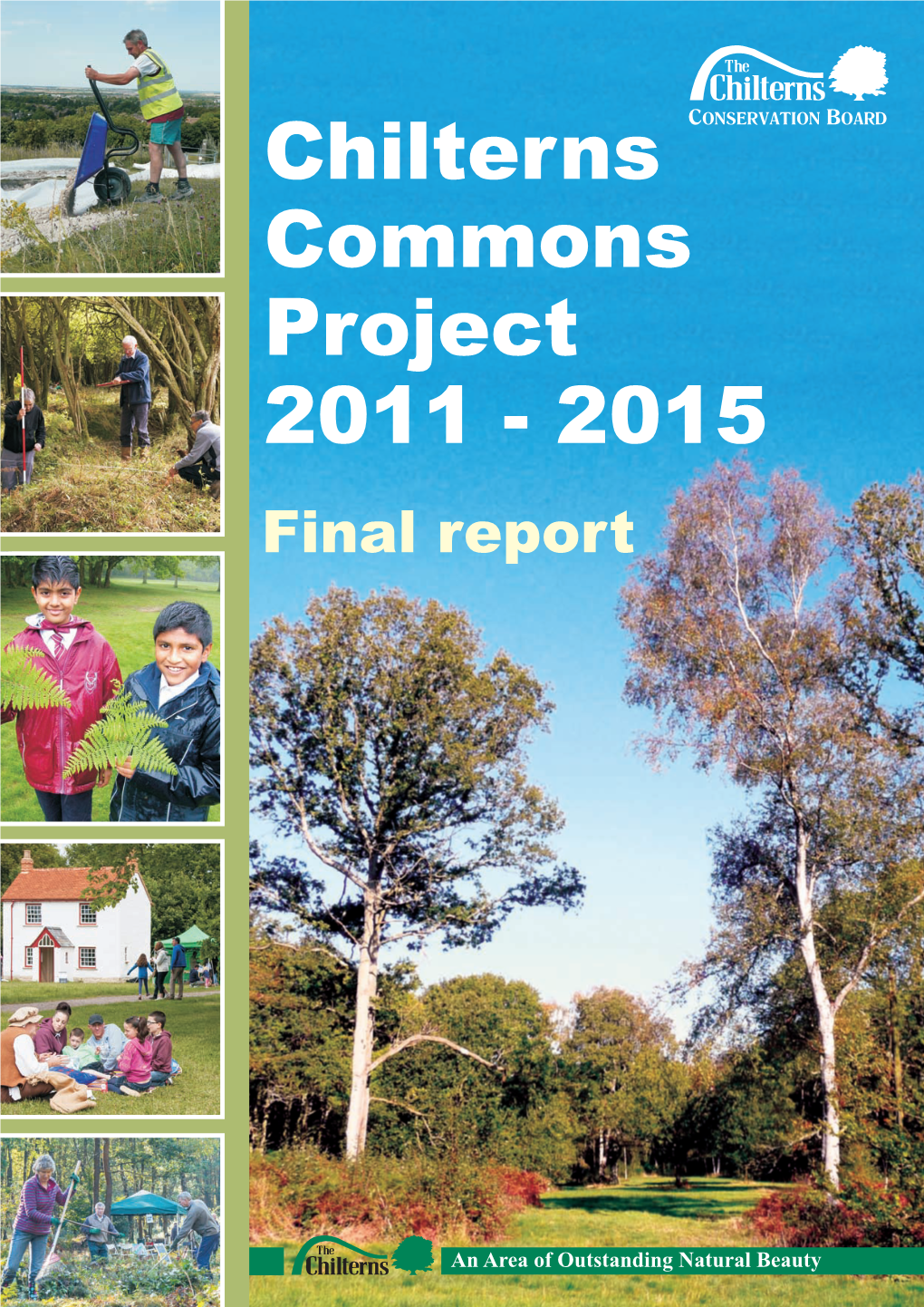 COMMONS FINAL REPORT.Cdr