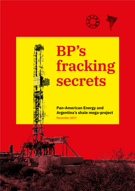 BP's Fracking Secrets: Pan American Energy And
