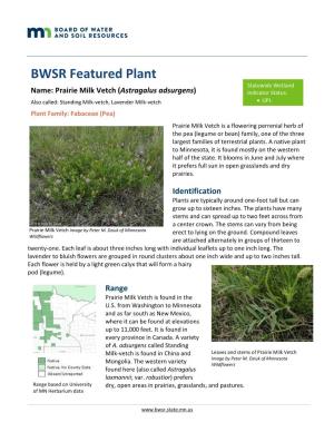 BWSR Featured Plant Statewide Wetland Name: Prairie Milk Vetch (Astragalus Adsurgens) Indicator Status: Also Called: Standing Milk-Vetch, Lavender Milk-Vetch  UPL
