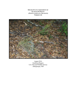 Species Status Assessment of Guadalupe Fescue (Festuca Ligulata Swallen) Version 1.0