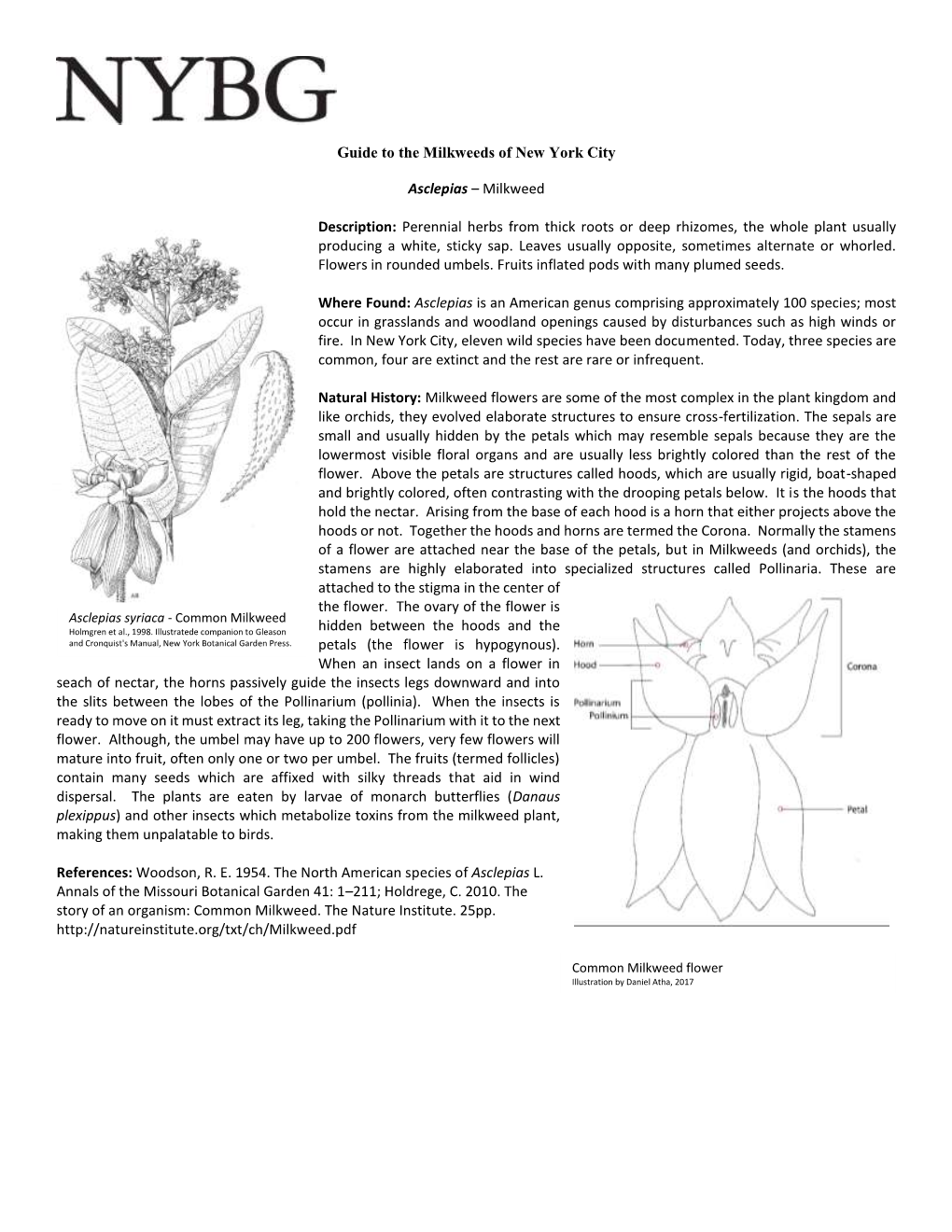 Guide to the Milkweeds of New York City Asclepias