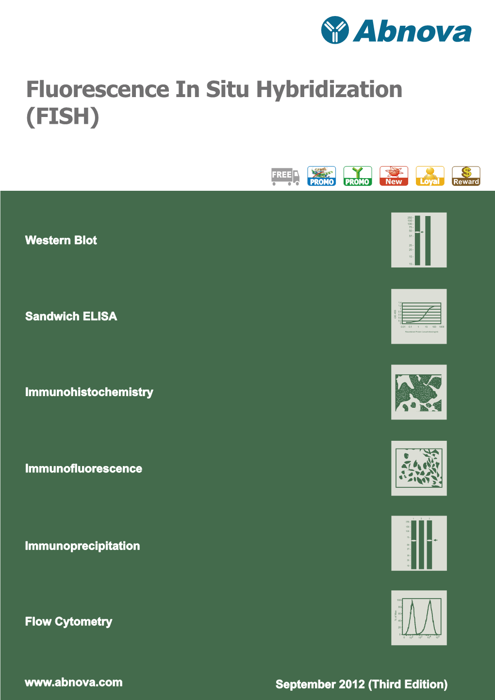 Fluorescence in Situ Hybridization (FISH)