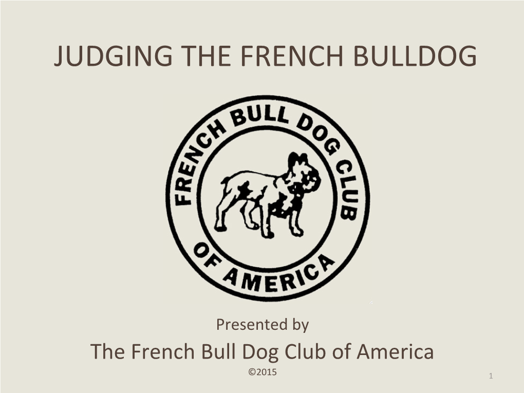 Judging the French Bulldog