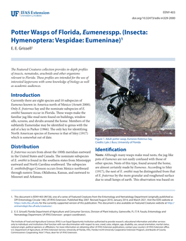 Potter Wasps of Florida, Eumenesspp