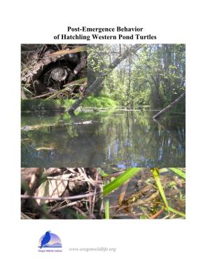 Post-Emergence Behavior of Hatchling Western Pond Turtles