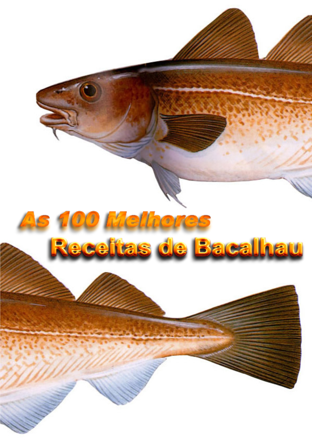 Livro De Receitas De Bacalhau Ultima Actualização Em 22-01-08