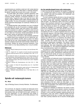 Spindle Cell Melanocytic Tumors of Extracutaneous Sites Clinicopathological Analysis Of20 Cases of a Poorly Known Variant