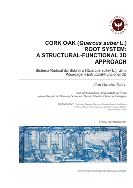 CORK OAK (Quercus Suber L.) ROOT SYSTEM: a STRUCTURAL-FUNCTIONAL 3D APPROACH Sistema Radical Do Sobreiro (Quercus Suber L.): Uma Abordagem Estrutural-Funcional 3D