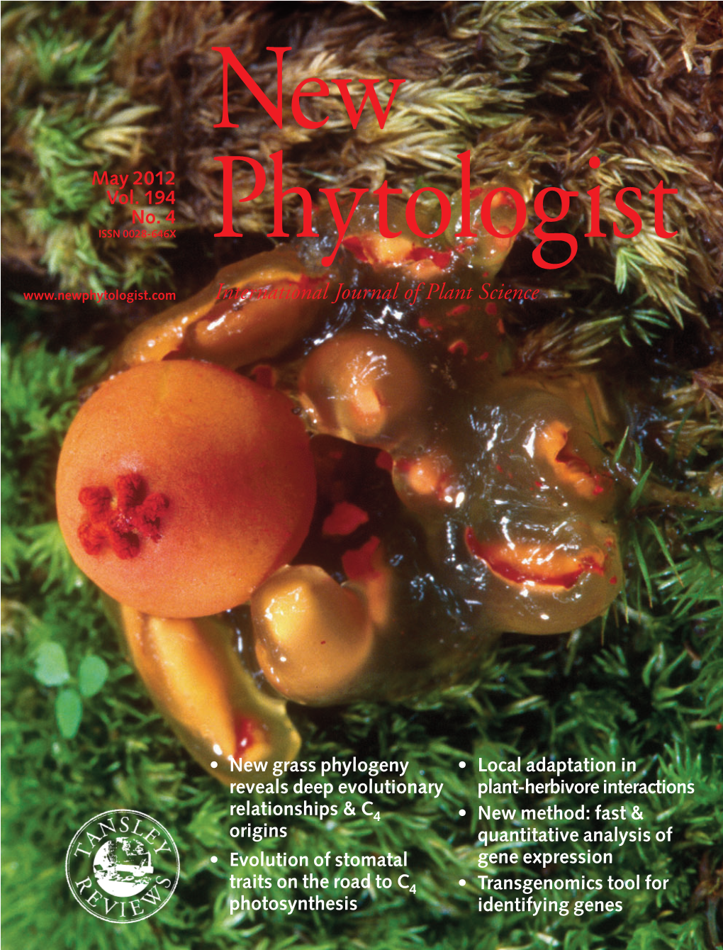 Diversity and Evolution of Ectomycorrhizal Host Associations in the Sclerodermatineae (Boletales, Basidiomycota)