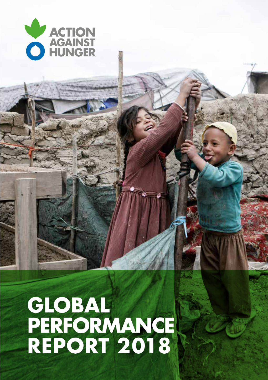 GLOBAL PERFORMANCE REPORT 2018 Ii GLOBAL PERFORMANCE REPORT 2018