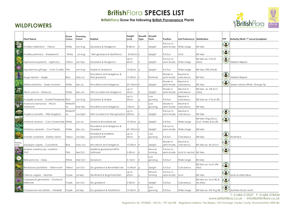 Wild Flower Plant List