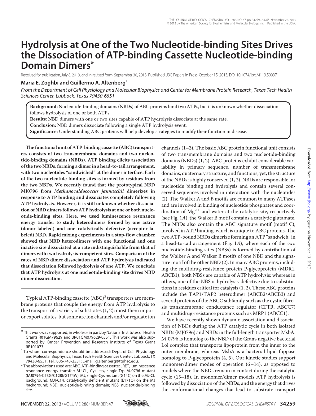 Hydrolysis at One of the Two Nucleotide-Binding Sites Drives The