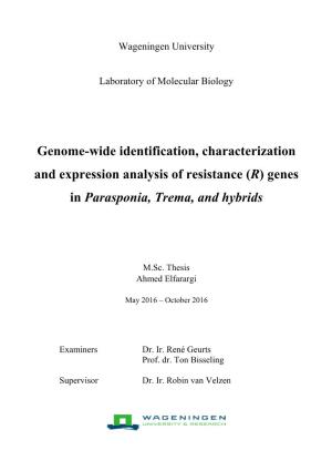 Genome-Wide Identification, Characterization and Expression Analysis of Resistance (R) Genes in Parasponia, Trema, and Hybrids