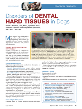 Disorders of Dental Hard Tissues in Dogs Brook A