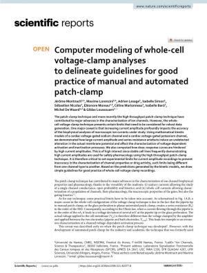 Computer Modeling of Whole-Cell Voltage-Clamp Analyses To