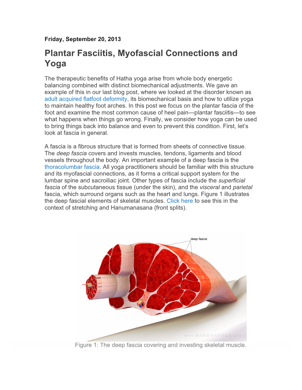 Plantar Fasciitis, Myofascial Connections and Yoga