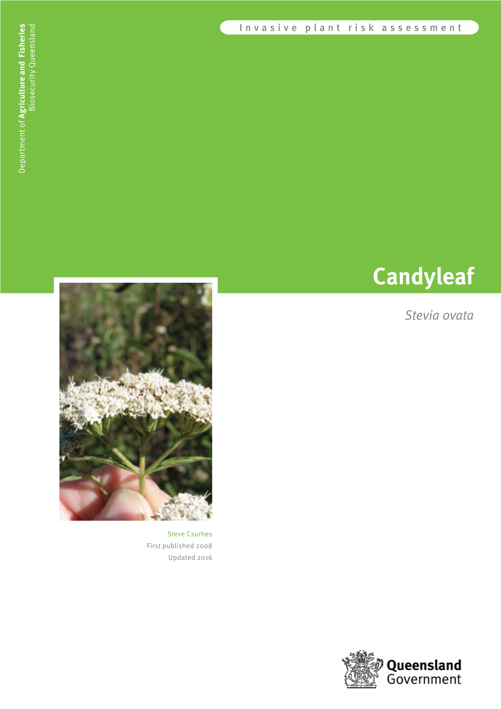 Candyleaf (Stevia Ovata)