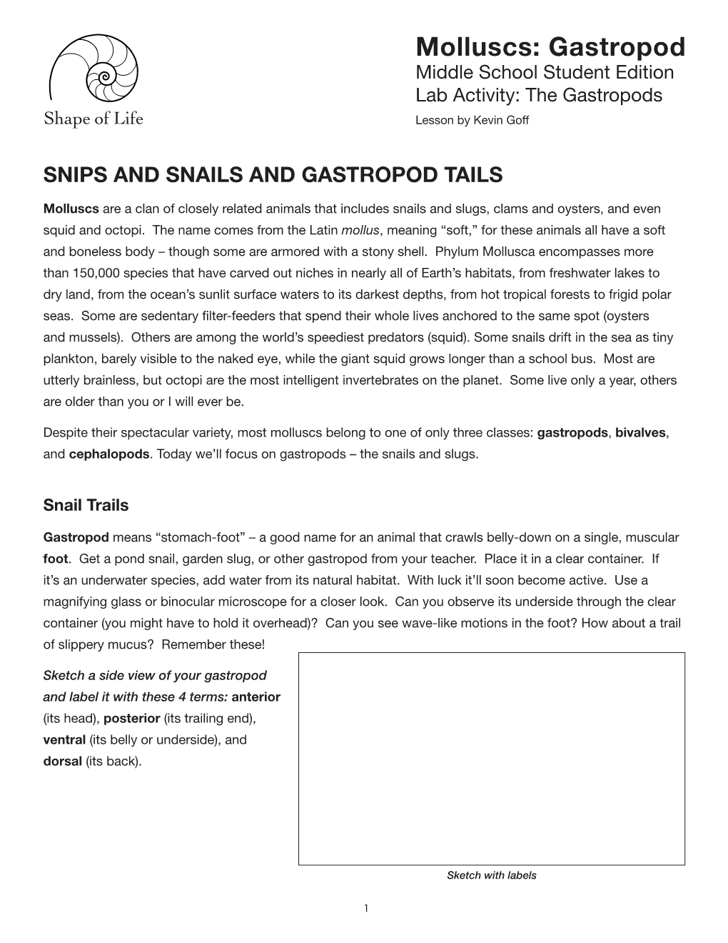 Molluscs: Gastropod Middle School Student Edition Lab Activity: the Gastropods Lesson by Kevin Goff