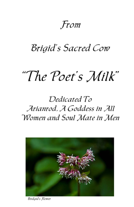 “The Poet's Milk”