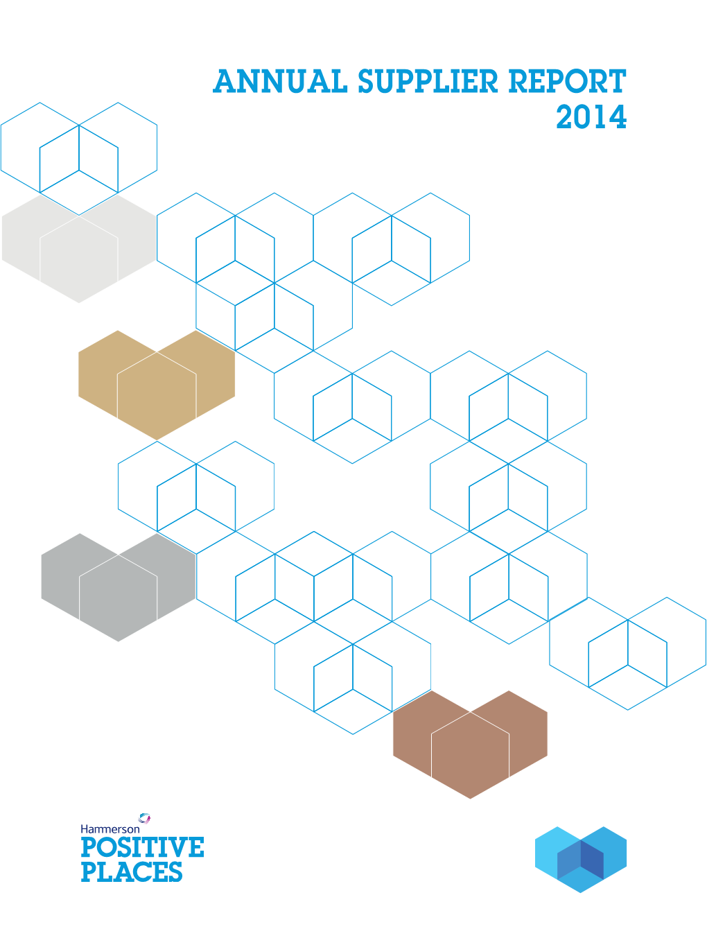 Hammerson Annual Supplier Report 2014