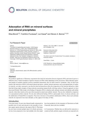 Adsorption of RNA on Mineral Surfaces and Mineral Precipitates