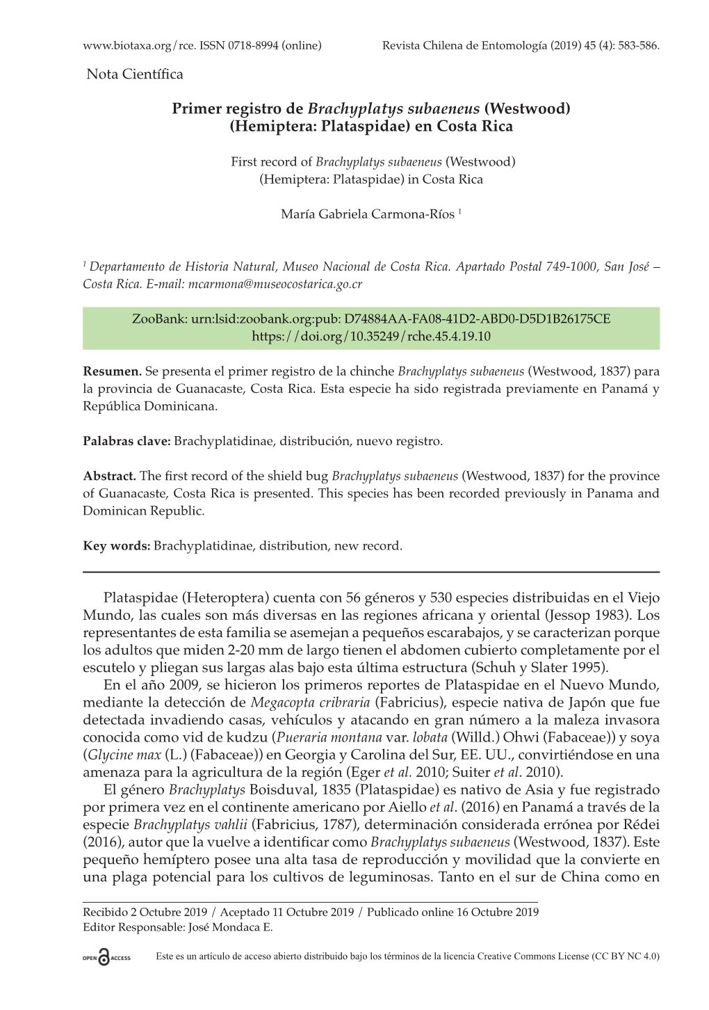 Primer Registro De Brachyplatys Subaeneus (Westwood) (Hemiptera: Plataspidae) En Costa Rica