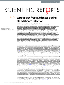 Citrobacter Freundii Fitness During Bloodstream Infection