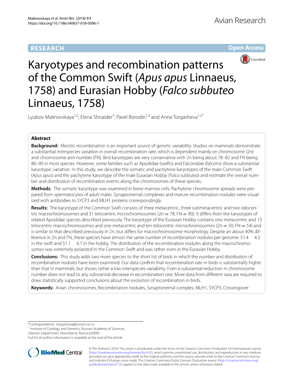 Karyotypes and Recombination Patterns of the Common Swift (Apus