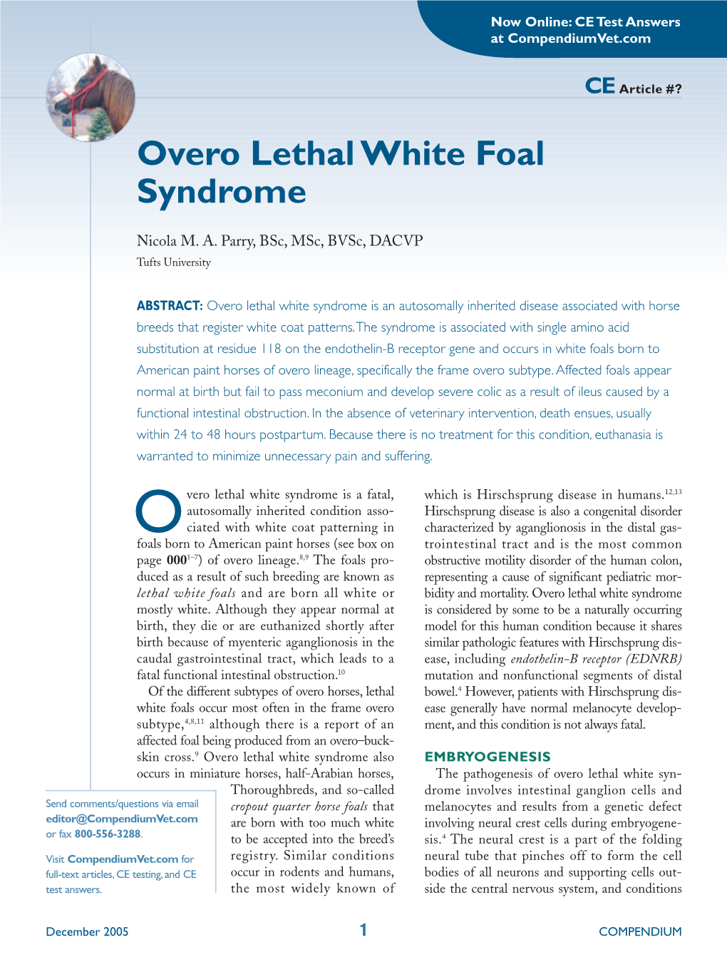 Overo Lethal White Foal Syndrome