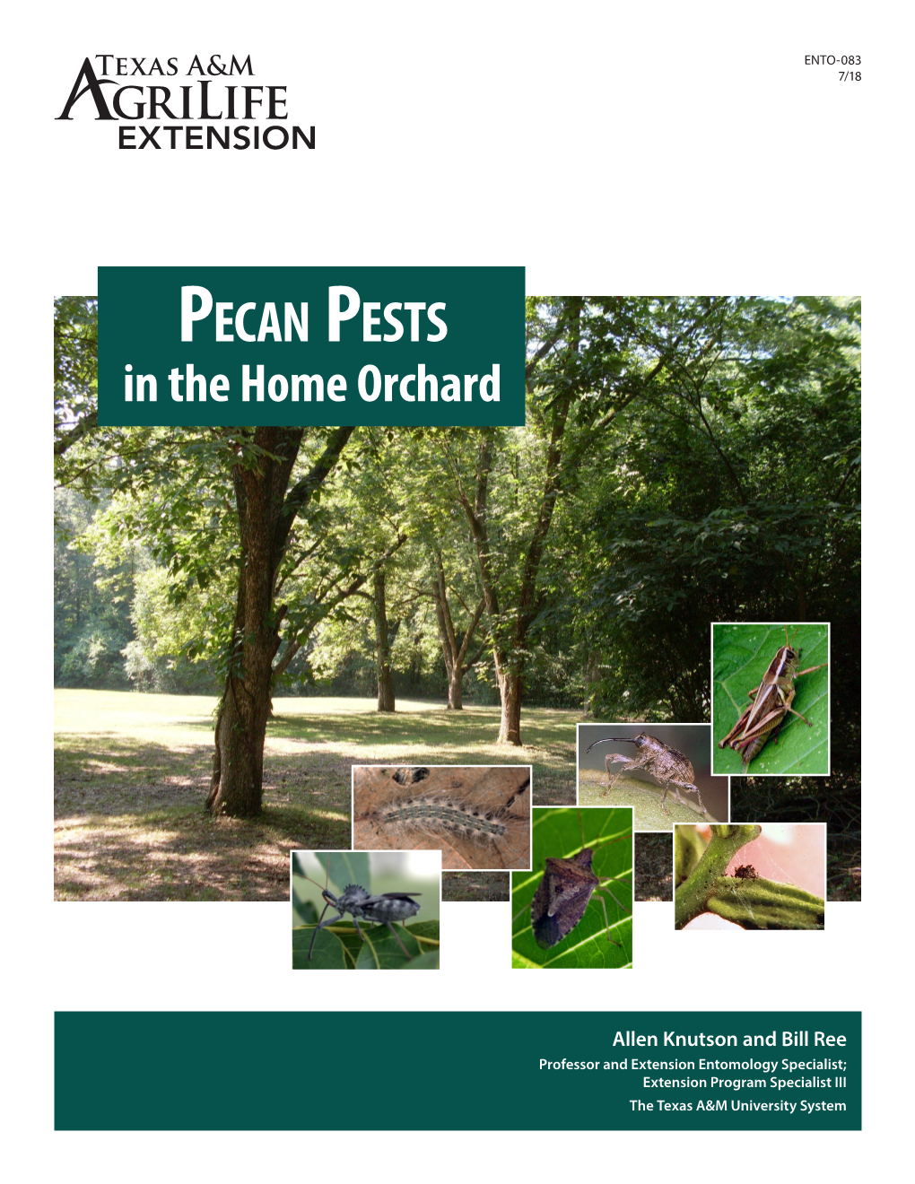 Pecan Pests in the Home Orchard