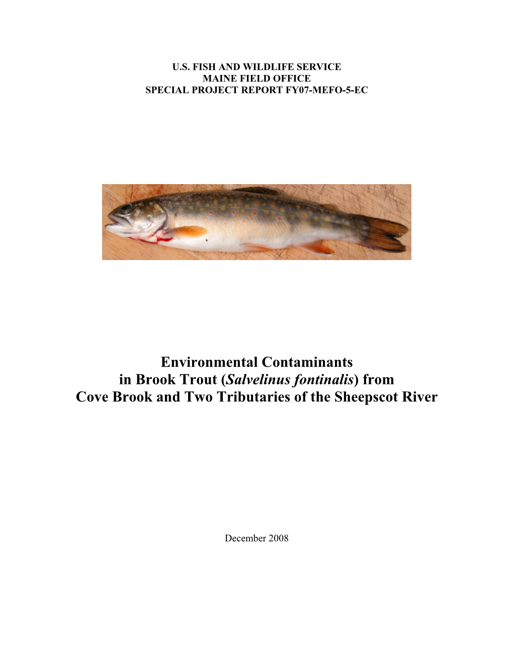 From Cove Brook and Two Tributaries of the Sheepscot River