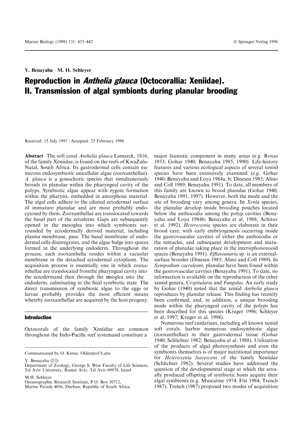 Reproduction in Anthelia Glauca (Octocorallia: Xeniidae). II