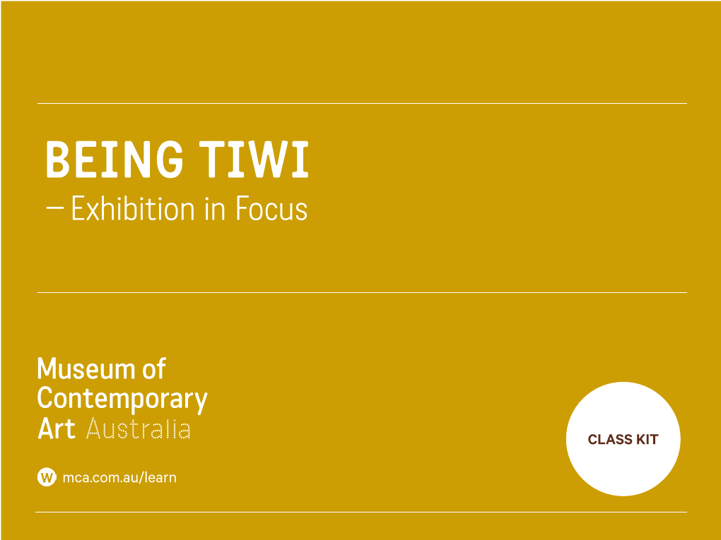 The Tiwi Islands, Curated by Natasha Bullock and Keith Munro from the Museum of Contemporary Art Australia