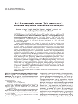 Oral Fibrosarcoma in Jararaca (Bothrops Pubescens): Anatomopathological and Immunohistochemical Aspects1