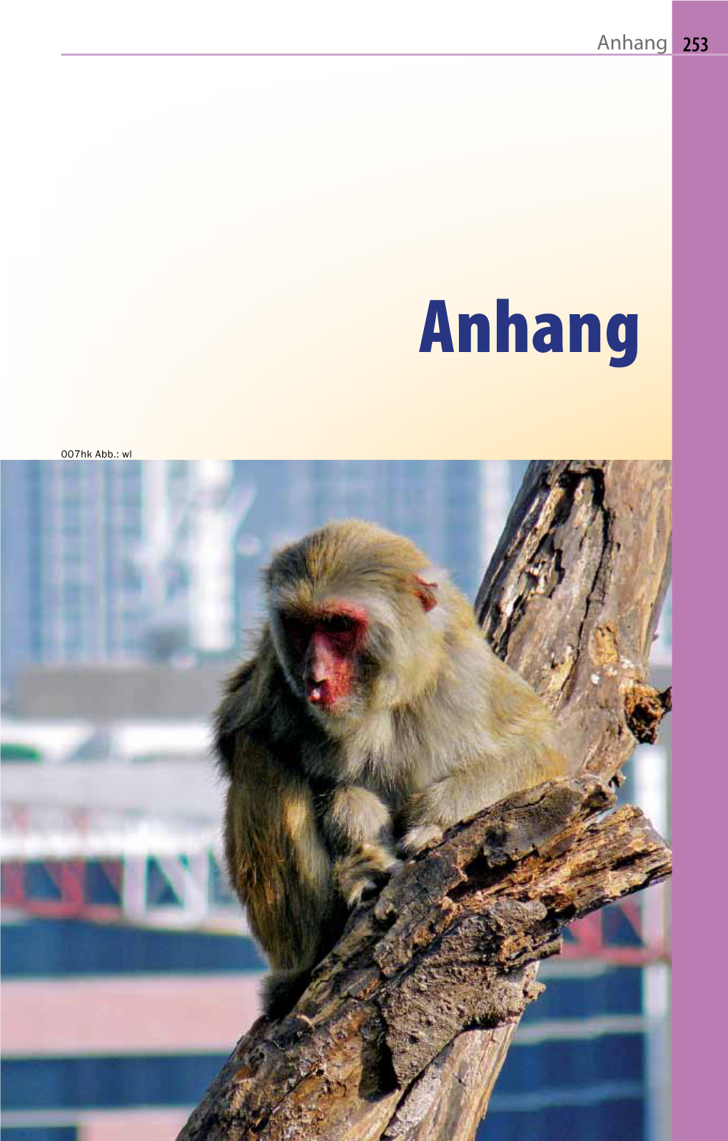 Anhang Hongkong-2012