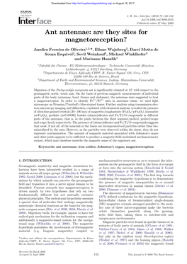 Ant Antennae: Are They Sites for Magnetoreception?