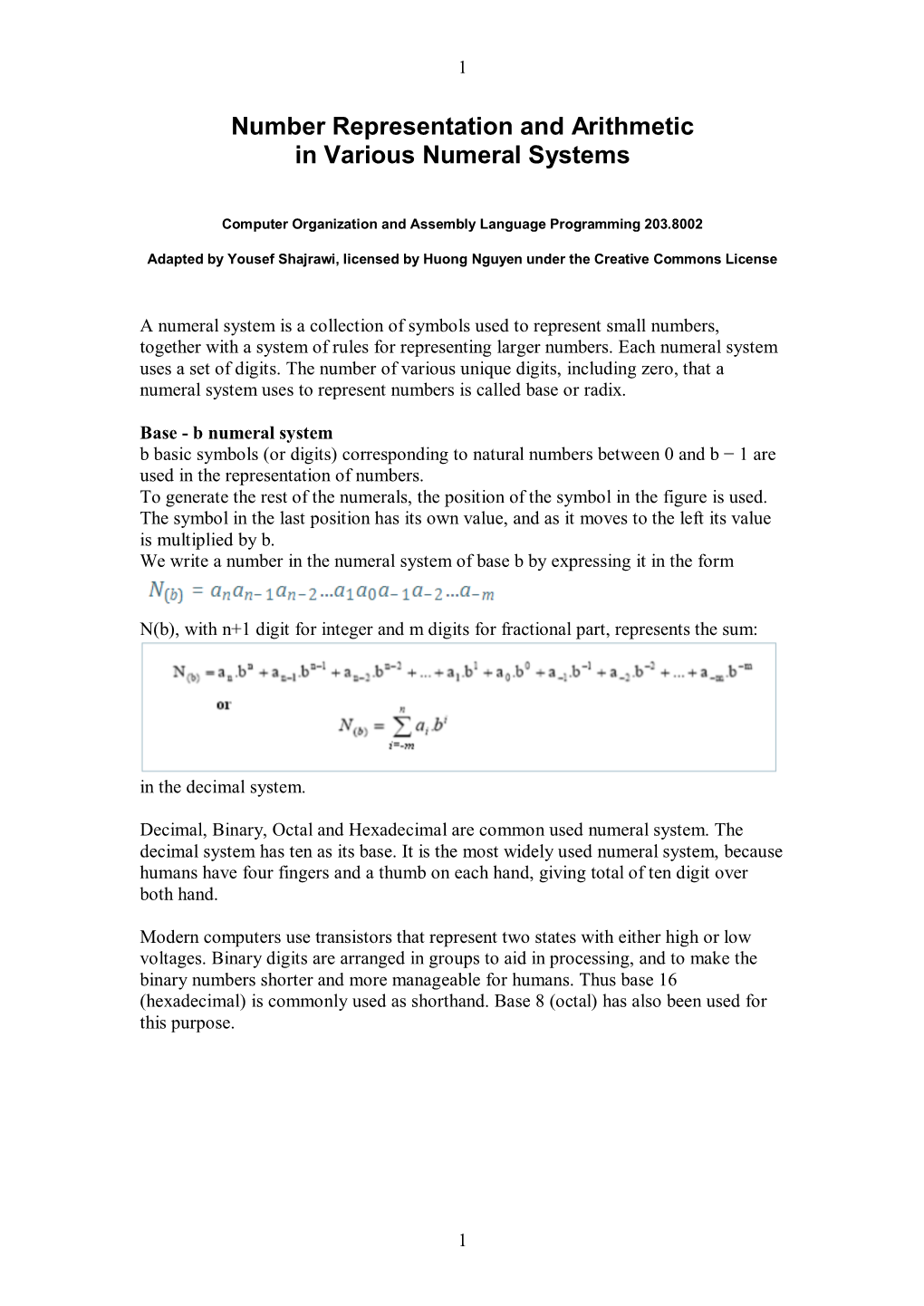 Number Representation and Arithmetic in Various Numeral Systems