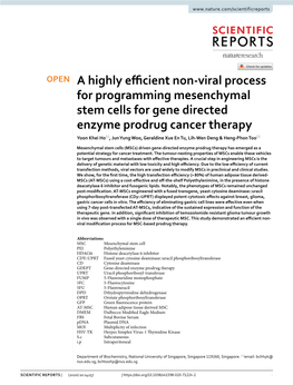 A Highly Efficient Non-Viral Process for Programming Mesenchymal Stem