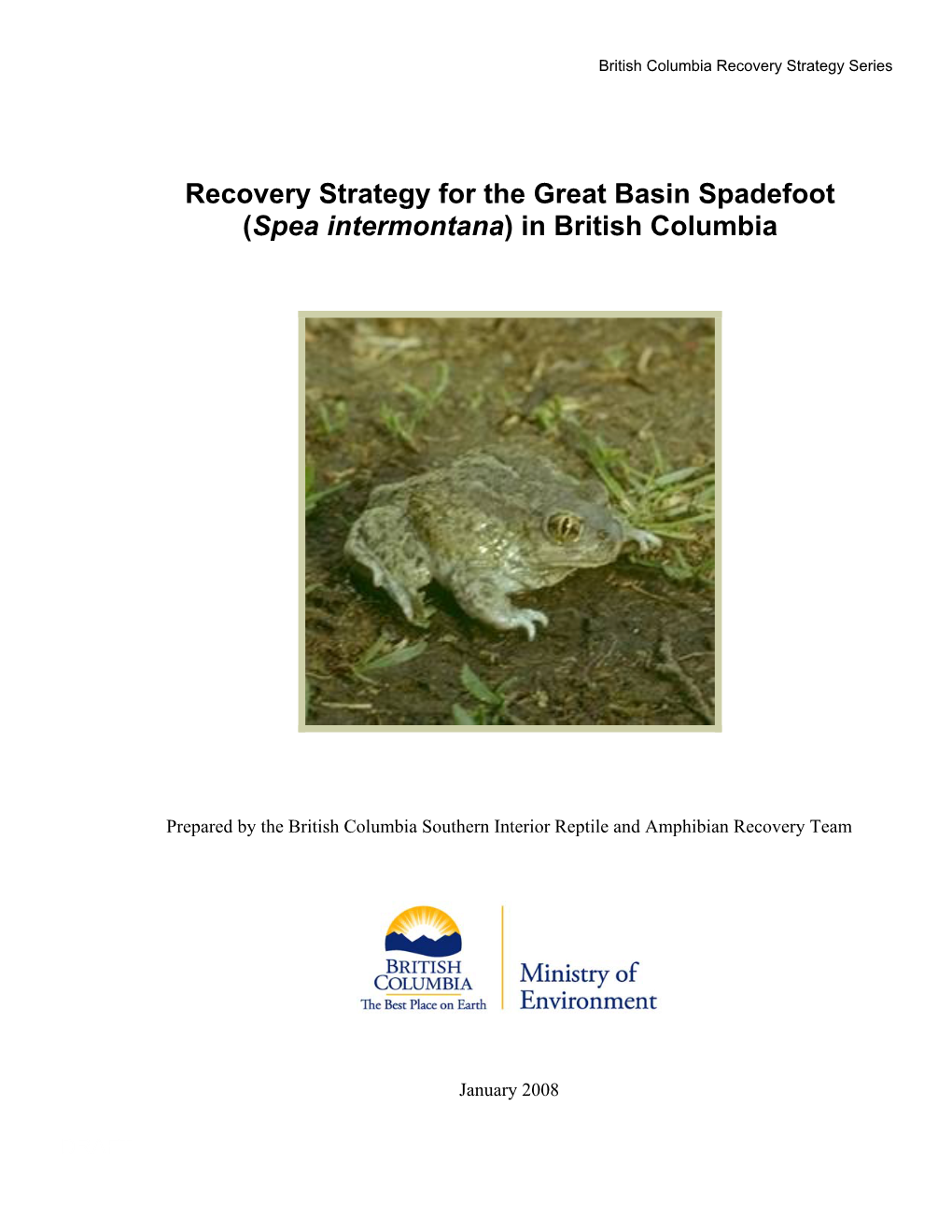 Recovery Strategy for the Great Basin Spadefoot (Spea Intermontana) in British Columbia