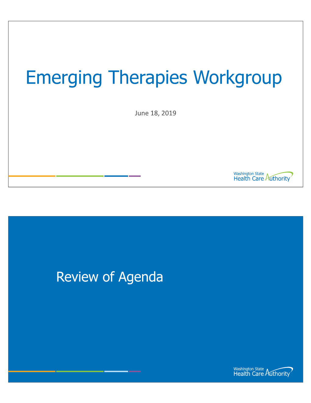 Emerging Therapies Workgroup (June 18, 2019)