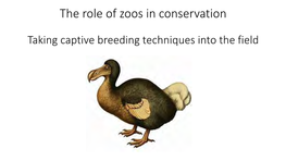 The Role of Zoos in Conservation