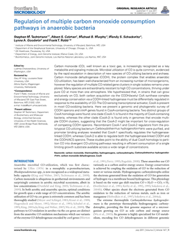 Regulation of Multiple Carbon Monoxide Consumption Pathways in Anaerobic Bacteria