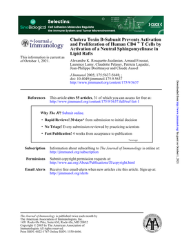 Lipid Rafts Activation of a Neutral Sphingomyelinase in T Cells by + and Proliferation of Human CD4 Cholera Toxin B-Subunit Prev